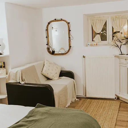 Apartment Republicii Rustic In Center Brasov