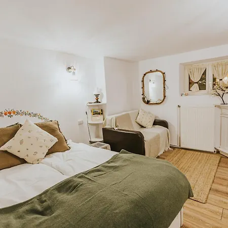 Republicii Rustic In Center Apartment