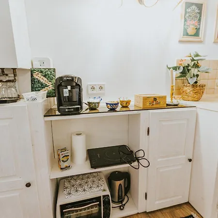 Appartement Republicii Rustic In Center *