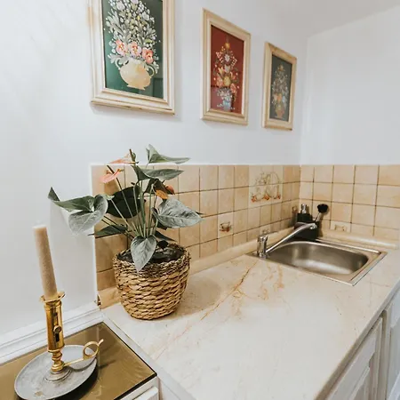 Republicii Rustic In Center Braszów