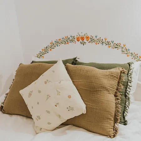 Apartament Republicii Rustic In Center Braszów