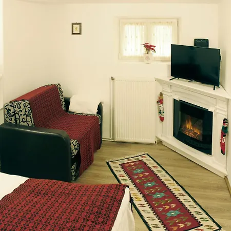 Republicii Rustic In Center Apartament