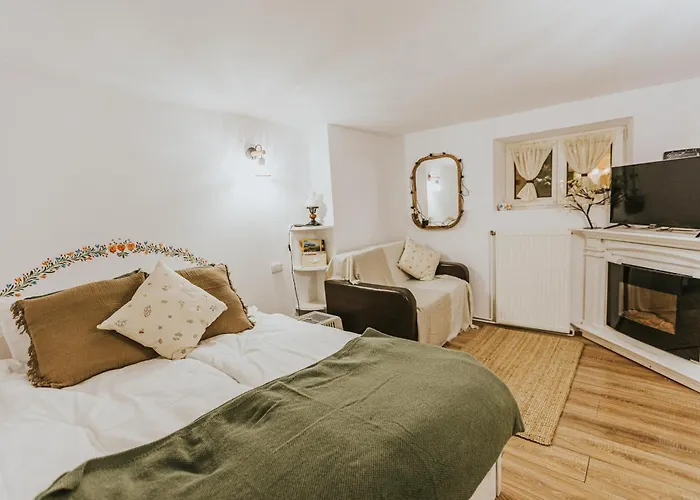 Republicii Rustic In Center Appartement