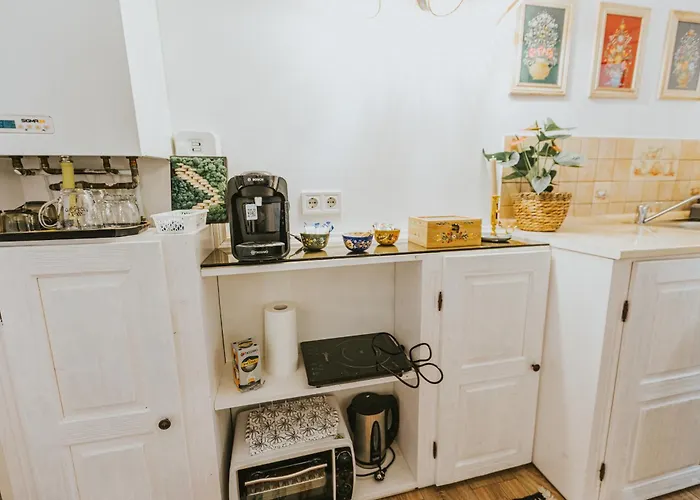 Appartement Republicii Rustic In Center *