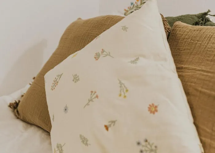 Republicii Rustic In Center Braşov